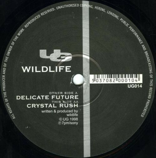 Wildlife - Delicate Future - UG