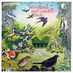 Bbc Radiophonic Workshop - Woodland And Garden Birds - Bbc Records