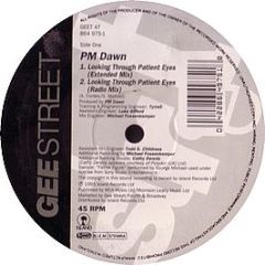 Pm Dawn - Looking Through Patient Eyes - Gee Street