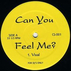 Raphael Saadiq - Can U Feel Me (House Remixes) - Yellow Cs