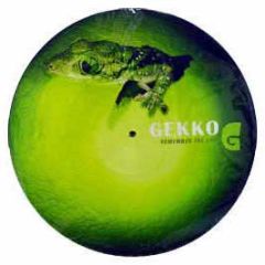 Gekko - Remember The Day (Picture Disc) - Turning Wheel