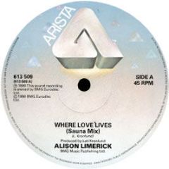 Alison Limerick - Where Love Lives (Remix) - Arista