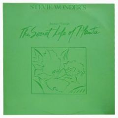 Stevie Wonder - Journey Through The Secret Life Of Plants - Motown