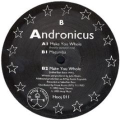 Andronicus - Make You Whole - Hooj Choons