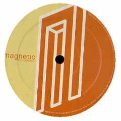 DJ Sneak - Funky Rhythm - Magnetic Recordings