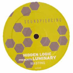 Hidden Logic Presents Luminary - Wasting - Soundpiercing