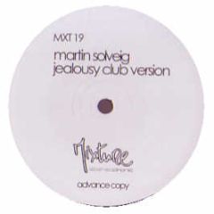 Martin Solveig - Jealousy - Mixture Stereophonic