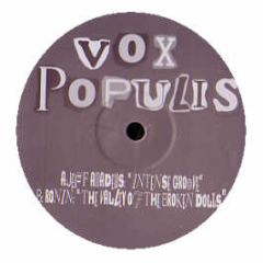 Jeff Amadeus - Intense Groove - Vox Populis 1