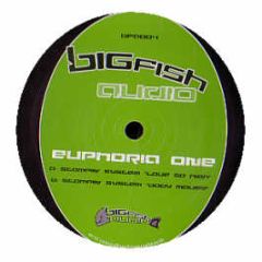 Euphoria One - Love So High - Bigfish Audio 4