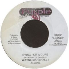 Wayne Marshall - Dying For A Cure - Purple Skunk Records