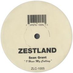 Sean Grant - I Hear My Calling - Zestland Records