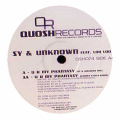 Sy & Unknown - U R My Phantasy