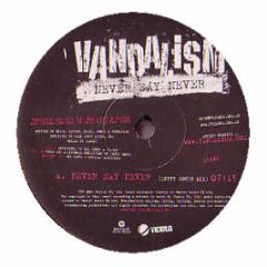 Vandalism - Never Say Never (Remix) - Warner Bros