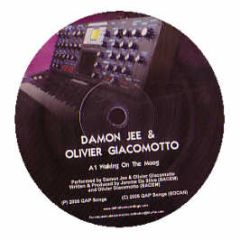 Damon Jee & Olivier Giacomotto - Walking On The Moog - Definitive Recordings