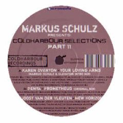 Markus Schulz Presents - Coldharbour Selections (Volume 11) - Coldharbour Recordings