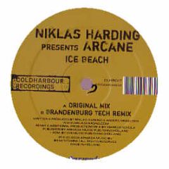 Niklas Harding Pres. Arcane - Ice Beach - Coldharbour Recordings