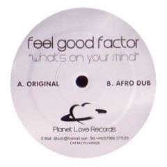 Feel Good Factor - What's On Your Mind - Planet Love Records 