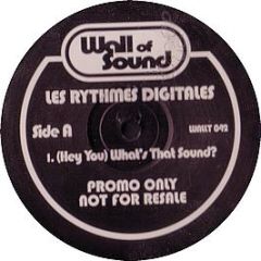 Les Rythmes Digitales - Hey You What's That Sound - Wall Of Sound