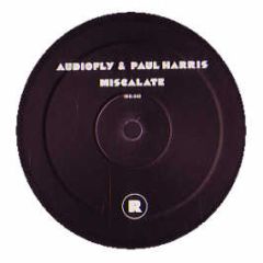 Audiofly & Paul Harris - Miscalate - Rekids