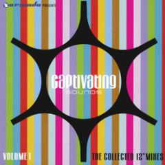 Captivating Sounds Presents - The Collected 12" Mixes (Volume 1) - Armada