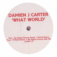 Damien J Carter - What World (2007) - Loaded