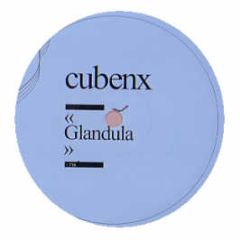 Cubenx - Glandula - Infine