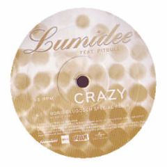 Lumidee Feat. Pitbull - Crazy (Boris Dlugosch Remixes) - Universal