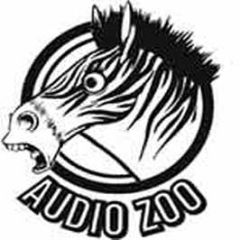 Clipz Feat Spyda - Pass - Audio Zoo