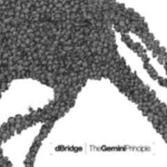 D Bridge - The Gemini Principle - Exit Recordings