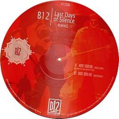 B12 - Last Days Of Silence (Remixes) (Pic Disc) - B12 20