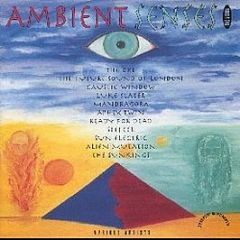 Various Artists - Ambient Senses (Clear Vinyl) - Jumpin & Pumpin