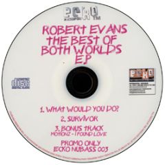 Robert Evans - The Best Of Both Worlds EP - Ecko 
