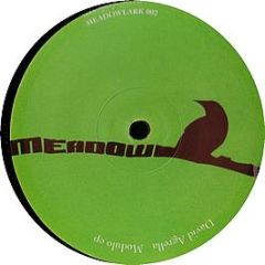 David Agrella - Modulo EP - Meadowlark 2