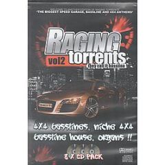 Raging Torrents Presents DJ Mikey - They Call It Bassline (Volume 2) - Raging Torrents