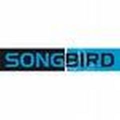 DJ Tiesto - In Search Of Sunrise 1 (Sampler) - Songbird