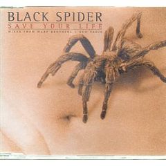 Black Spider - Save Your Life - Vision Recordings