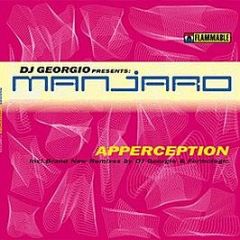  DJ Georgio Presents Manjaro  - Apperception - Flammable