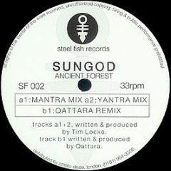 Sungod - Ancient Forest - Steel Fish Records