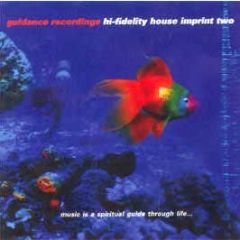 Guidance Records Present - Hi Fidelity Imprint Two - Guidance