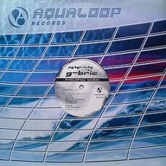 Peter Luts Vs. G-Bric - Pacific Wish - Aqualoop Records