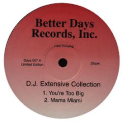 DJ Extensive Collection - You'Re Too Big / Mama Miami - Better Days Inc