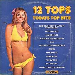 Unknown Artist - 12 Tops - Todays Top Hits - Stereo Gold Award