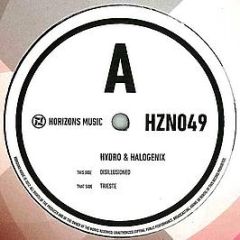 Hydro & Halogenix - Disillusioned / Trieste - Horizons Music