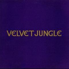 Velvet Jungle - C'mon C'mon (I'm Not In Love With You) - Sony Soho Square