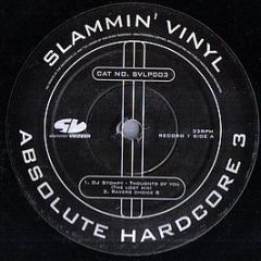Various Artists - (No Sleeve) Slammin' Vinyl Presents Absolute Hardcore 3 - Slammin' Vinyl