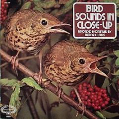 Victor C. Lewis - Bird Sounds In Close Up - Hallmark Records