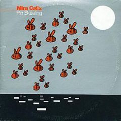 Mira Calix - Pin Skeeling - Warp Records