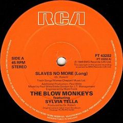The Blow Monkeys Featuring Sylvia Tella - Slaves No More - RCA