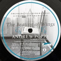 Andrew Poppy - The Beating Of Wings - ZTT