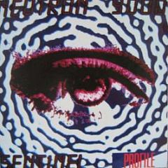 Neutron 9000 - Sentinel (The Steve Proctor Mixes) - Profile Records